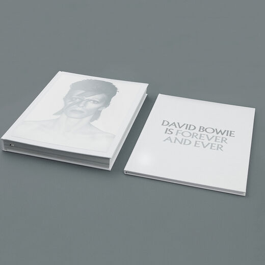 David Bowie is: New York edition - official exhibition book (hardback)