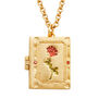 Secret diary locket necklace by Fable England
