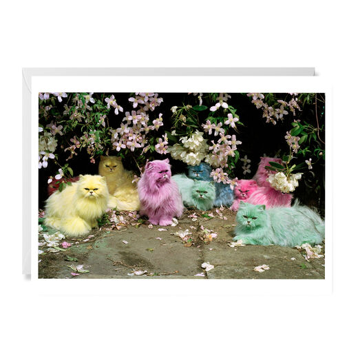 Pastel Cats by Tim Walker greeting card