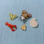 Shell brooch