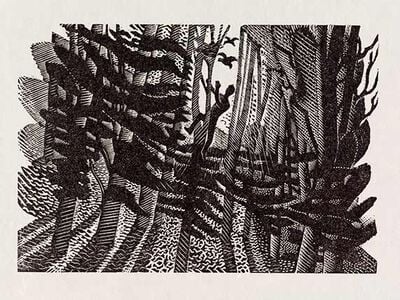 Man climbing a tree