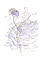 Jacques Griffe gown, fashion illustration