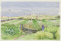 View across the fields