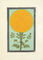 A beloved flower in Indian cultures, the marigold is a symbol of joy, prosperity, and a link between the earthly and divine.