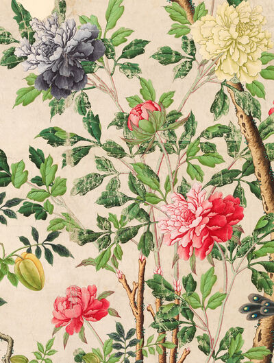 Wallpaper with large blooms of chrysanthemums and starfruits
