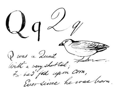 Q was a Quail