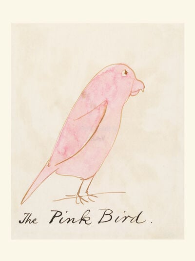 The Pink Bird