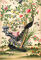 Wallpaper with pair of peacocks and a pot of starfruit