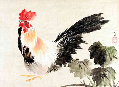 Rooster