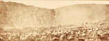 Encampment of pilgrims, Mecca