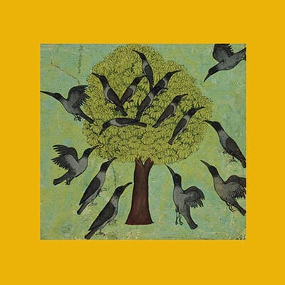 Tree with Crows Perched in its Branches