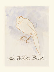 The White Bird
