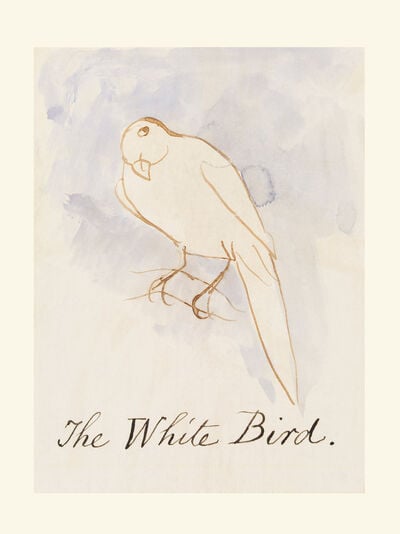 The White Bird