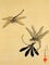 Dragonflies