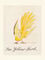 The Yellow Bird