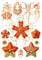 Asteridea from Kunstformen der Natur