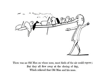 There was an Old Man on whose nose...