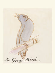 The Gray Bird