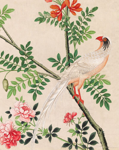 Wallpaper with white pheasant perching on branch