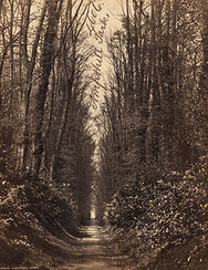 Ampthill Park