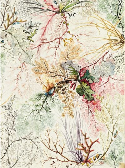 Natural forms chintz textile design