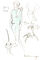Balenciaga scarves and velvet hat, fashion illustration