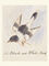 The Black and White Bird