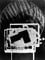 Fotogramm showing complex rectangles and fine line circle