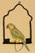 A Pet Parrot