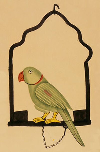 A Pet Parrot