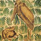 Stork and Frog