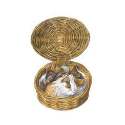 Guinea pigs in basket