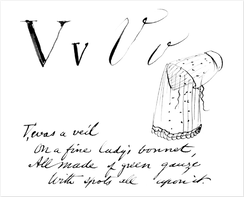 V was a Veil