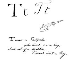 T of Tadpole