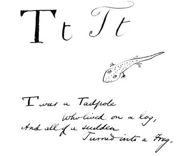 T of Tadpole