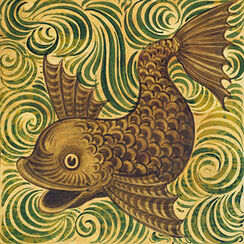 Dolphin