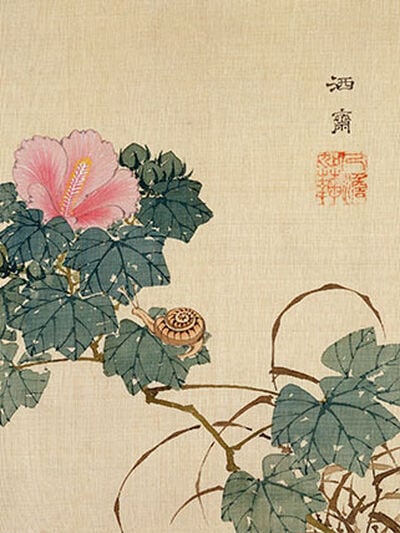 Snail, pink flower and foliage