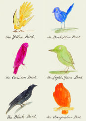 Birds