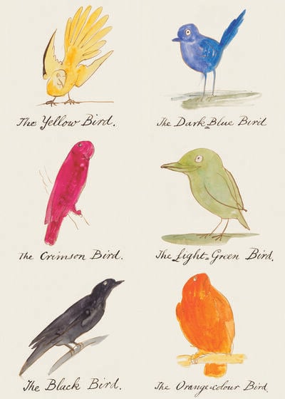 Birds