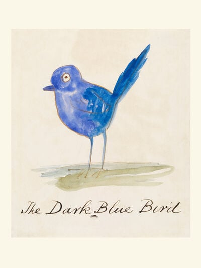 The Dark-Blue Bird