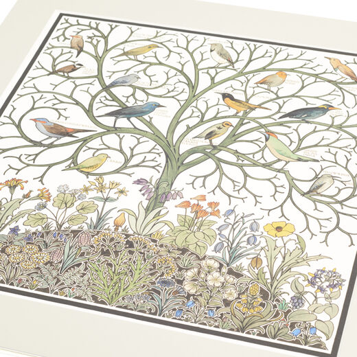 C.F.A. Voysey's Birds of Many Climes - mounted print