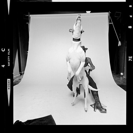 David Bowie Diamond Dogs Contact Sheet by Terry O'Neill - limited edition print