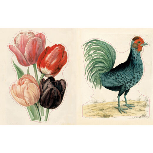 John Derian Sticker Book II