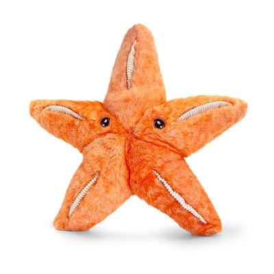 Starfish plush toy