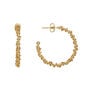 Gold wire wrapped Aurora hoop earrings by Black & Sigi