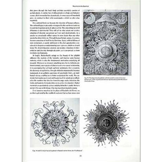 Art Forms in Nature