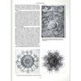 Art Forms in Nature