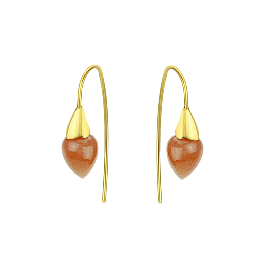 A pair of gold hook earrings with amber coloured stones.