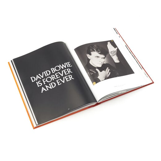 David Bowie Is exhibition book &ndash; deluxe hardback