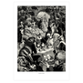 Garden Party print by Lynn Hatzius